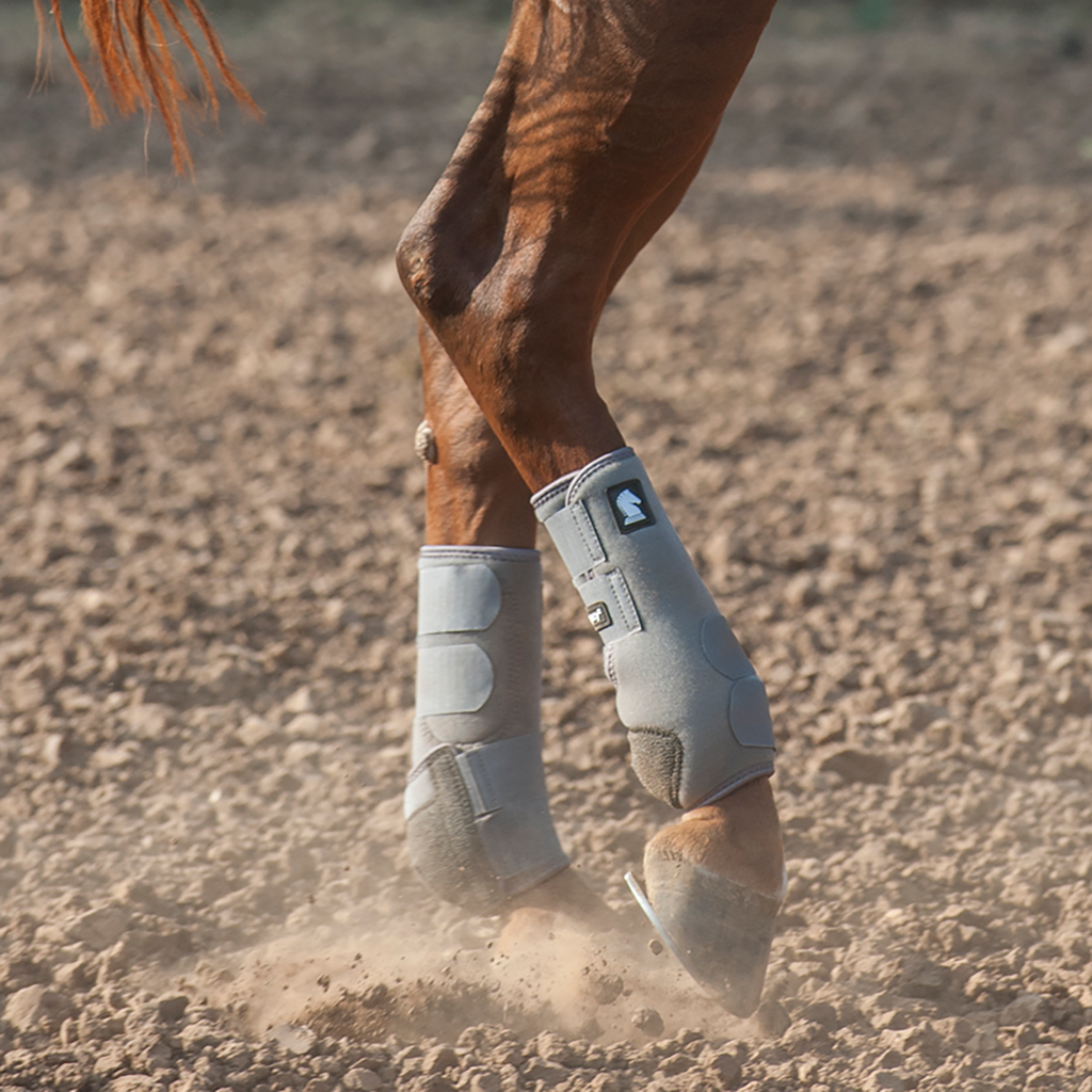 Classic equine 2025 legacy boots