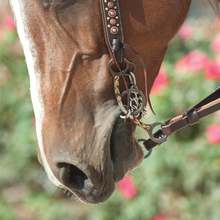 Sherry Cervi Diamond Short Shank Gag