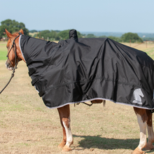 Classic Equine Horse & Saddle Cover