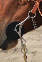 Brittany Pozzi Gag Series