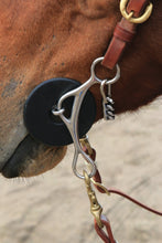 Brittany Pozzi Gag Series