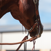 Latigo Leather & Chain Curb Strap