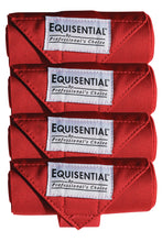 Equisential Standing Bandages