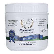 Equinety Horse XL
