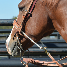 Joe Beaver 7-1/2" Shank Low Port Bit