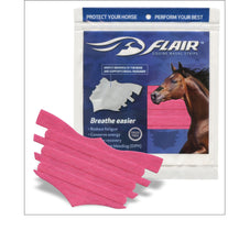 FLAIR® Equine Nasal Strips