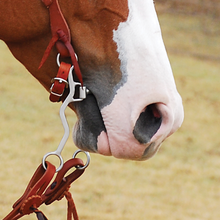 Ricky Green Smooth Mouth Long Shank Snaffle