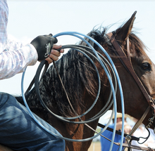 Roping Gloves High Performance - Classic