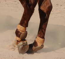 Skid Boots - Classic Equine